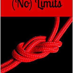 (No) Limits – BDSM Roman